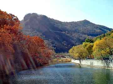 澳门二四六天天彩图库，傲虎论坛